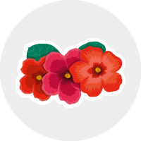 Extrait de fleur de Capucine | Ingrédient INCI – Monsieur BARBIER