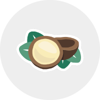 Monsieur BARBIER - Huile de noix de Macadamia | Ingrédient INCI