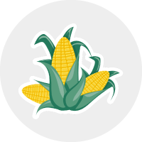 Monsieur BARBIER - Amidon de maïs | Ingrédient INCI